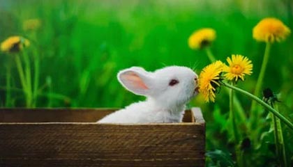 九游9游-基层足球师资力量是否能承担普及使命，基层足球师资力量是否能承担普及使命任务