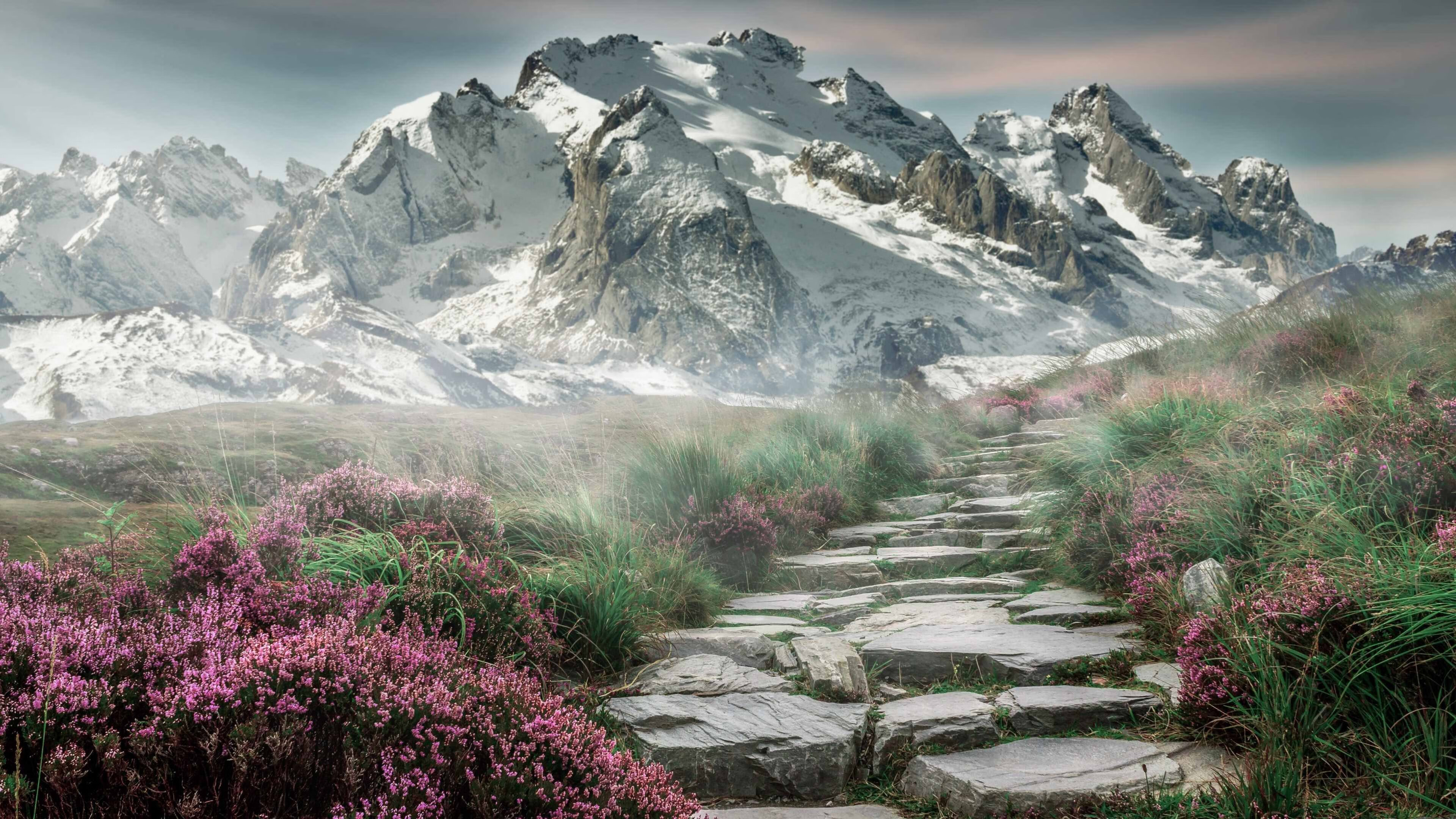 九游娱乐APP-EDG进攻效率持续走高，edg进攻效率持续走高的原因