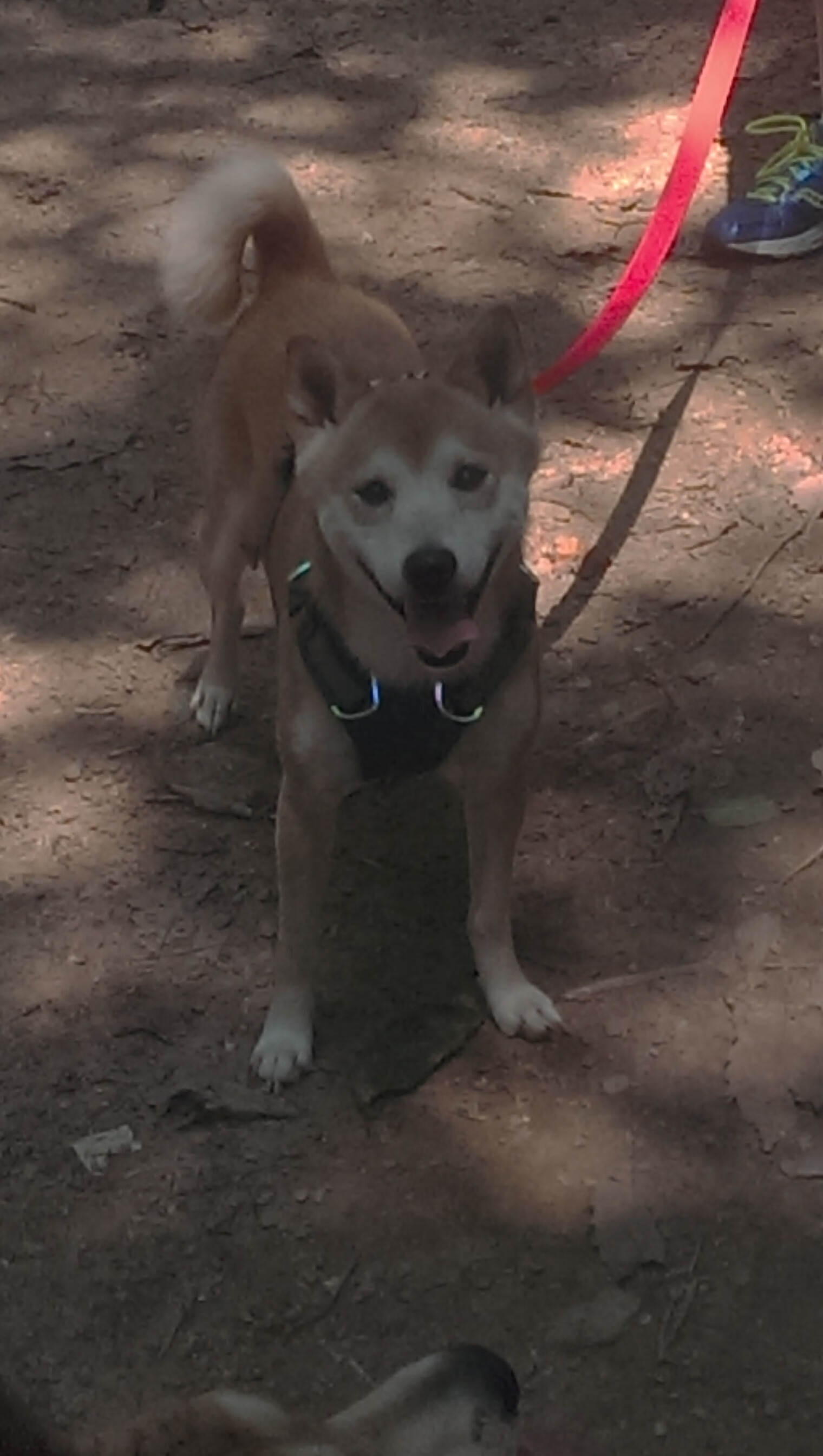 利物浦逆转胜利,成功晋级欧冠八强,利物浦欧冠大逆转