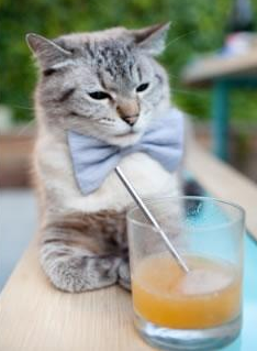 球队是否应开放更衣室文化纪录片,足球队更衣室文化